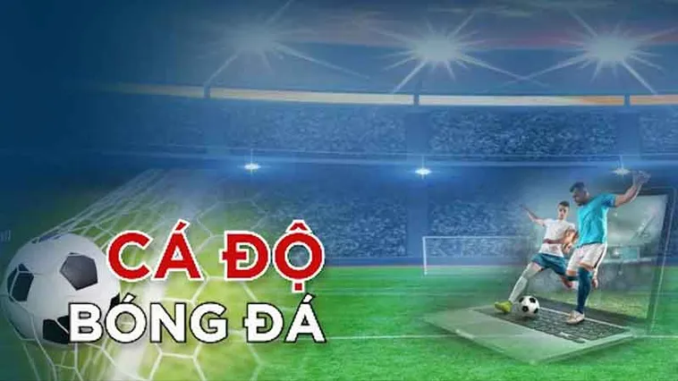 Khám Phá Cá Cược Bóng Đá U88 Và Những Điểm Nổi Bật Cần Biết