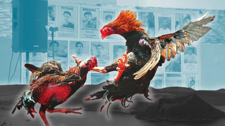 Cách Chơi Đá Gà Sabong Tại U88 Hiểu Đúng Luật Và Cược Chuẩn Xác Cho Người Mới