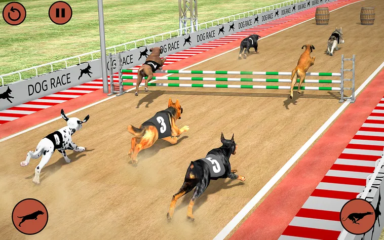 Cách Chơi Game Nhanh Đua Chó Tại U88 Hiểu Luật Và Bí Quyết Dành Chiến Thắng