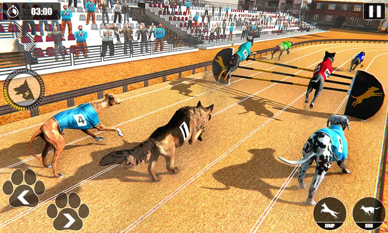 Cách Chơi Game Nhanh Đua Chó Tại U88 Hiểu Luật Và Bí Quyết Dành Chiến Thắng